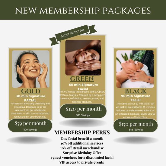 skinfluent membership packages-min skinfluent membership packages-min